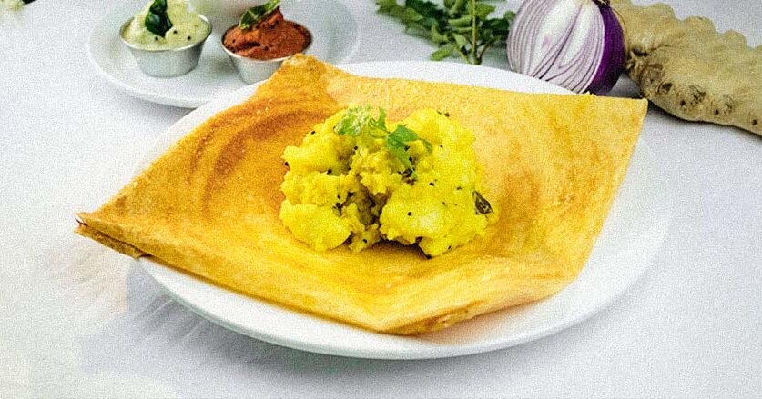 south indian portfolio